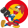 Avatar de Usuario