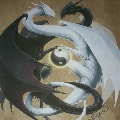 Avatar de Usuario