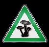Avatar de Usuario